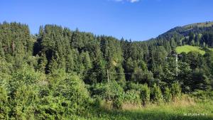 Gallery image of Стожари in Verkhovyna