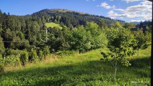 Gallery image of Стожари in Verkhovyna +26 photos