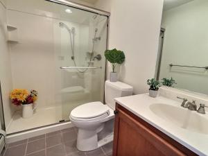 a bathroom with a shower and a toilet and a sink at RoyalBear - AC, Hot Tub, Grill, FirePit, Gameroom in Killington +43 photos