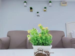 Φωτογραφία από το άλμπουμ του The Little Star Studio Hotel- Star Regency σε Brinchang