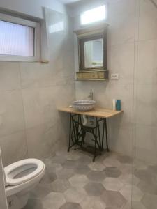 a bathroom with a toilet and a table and a mirror at Anastasia&ale pension in Mediaş +18 photos