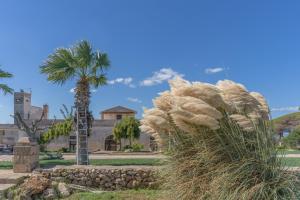 Κήπος έξω από το Casina Bellanova