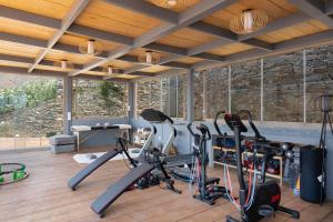 a gym with cardio equipment in a room with wooden ceilings at Blueros Luxury Villa in Megas Yialos-Nites