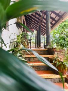 a group of stairs with plants in front of a building at Svarna in Udupi