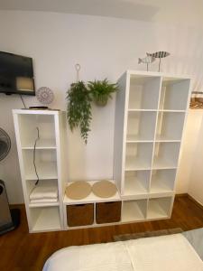 TV tai viihdekeskus majoituspaikassa Studio im Wienerwald - Mödling