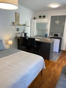 Majoituspaikan Studio im Wienerwald - Mödling keittiö tai keittotila