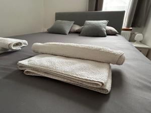 Llit o llits en una habitació de Divčinova Apartman 008