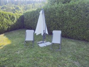 zwei Stühle und ein Sonnenschirm im Gras in der Unterkunft Forest View Cottage in Voroneţ