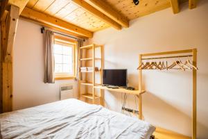 a bedroom with a bed and a desk with a television at Wellness Roubenka Goldenstein in Branná