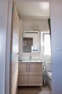 a bathroom with a sink and a mirror at Mobilehome Palema 16 in Drage