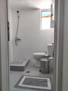 une salle de bain avec toilettes et fenêtre dans l'établissement Cosy Kotroni, Greek cuteness, townhouse for 6, à Skiathos Chora