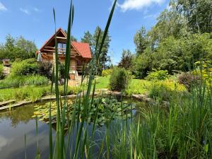 a garden with a pond and a log cabin at Domek w Brzezowej in Brzezowa