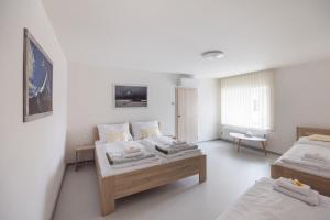 Tempat tidur dalam kamar di A studio Veselka Litomyšl