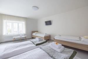 Lova arba lovos apgyvendinimo įstaigoje A studio Veselka Litomyšl