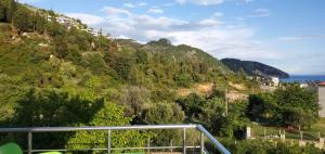 a view of a hill with trees and the ocean at Hotel Afrodite in Dhërmi