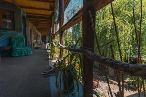 Balkón nebo terasa v ubytování Casa Dexter