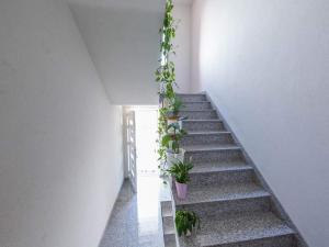 Fotografie z fotogalerie ubytování Holiday Home J&D 3 v destinaci Podstrana