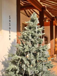 Billede fra billedgalleriet på jeonju Sosohan Hanok i Jeonju + 49 billeder