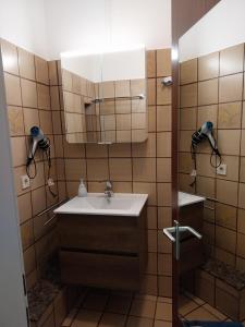 um banheiro com uma pia e um espelho em FW Steingraf Waldblick em Stickenbüttel mais 11 fotografias