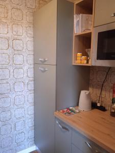 a kitchen with a refrigerator and a counter at Mountain Shelter in Passo del Tonale