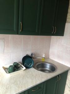 Køkken eller tekøkken på Бухар Жырау 48