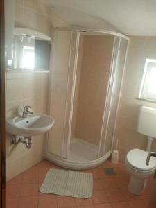 a bathroom with a shower and a sink and a toilet at Apartmaji paliska a in Izola