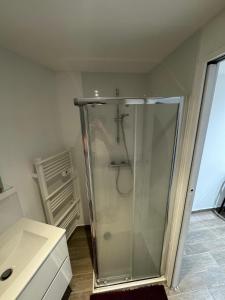 una doccia in vetro in un bagno con lavandino di Pause appart a Lille Altre 6 foto