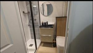 a bathroom with a shower and a sink and a toilet at Le Diderot in Grenoble