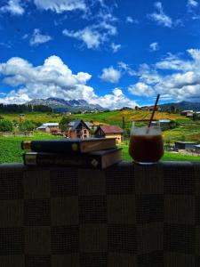 Příroda nedaleko penzionu