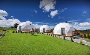 Příroda nedaleko luxury tent