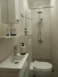 Studio Hadrovic في موستار: حمام أبيض مع مرحاض ومغسلة