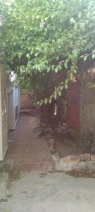 Gallery image of F2 duplex proche corniches plages et promenades in Annaba