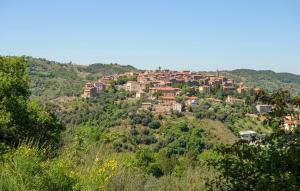 a village on the side of a hill at C'era Una Volta In Mlaterone in Montelaterone