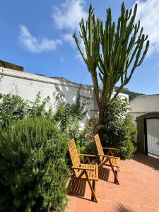 Φωτογραφία από το άλμπουμ του La Casa di Bubi σε Anacapri