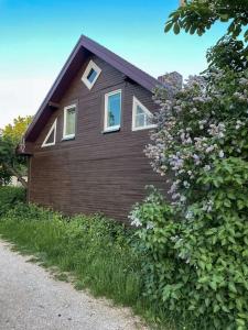 a brown house with white windows and a flowering bush at Charming Rustic Beach House Hideaway in Klaipėda