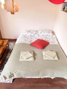 a bed with two pillows and a red pillow on it at Charming Rustic Beach House Hideaway in Klaipėda