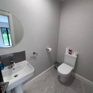 Bilik mandi di Modern Dunboyne Home