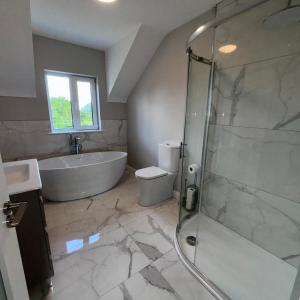 Bilik mandi di Modern Dunboyne Home