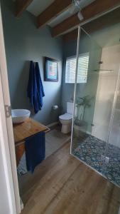 a bathroom with a glass shower and a toilet at The Vine Cottage in Bellville