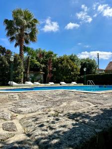 a blue swimming pool with a palm tree in the background at Residência das Louras in Viana do Castelo