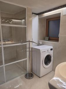 a washing machine in a bathroom with a shower at Appartement Nax in Nax