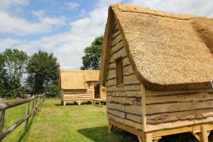 a log cabin with a thatched roof in a yard at Chalet David Hockney in Saint-Germain-dʼAunay +13 photos