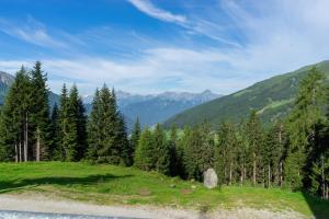 Príroda v okolí apartmánu