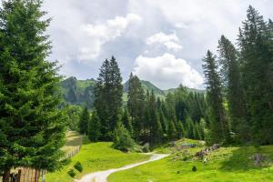 Príroda v okolí apartmánu