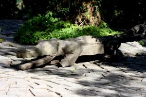 Fotografie z fotogalerie ubytování Badger's Lodge v destinaci Knysna