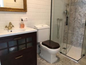 a bathroom with a toilet with a sink and a shower at Estudios rúa Maior, 49-2A in Sarria +11 photos