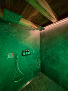 a green bathroom with a shower with a hose at La famille d'Evian in Villeneuve +46 photos