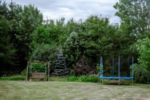 Fotografia z galérie ubytovania Zielona parcela v destinácii Pisz