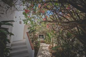 Ein Garten an der Unterkunft Sotavento Hotel & Yacht Club