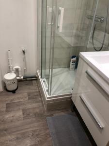 a bathroom with a shower and a sink and a toilet at Villa des Thermes - T3 rdc in Royat
